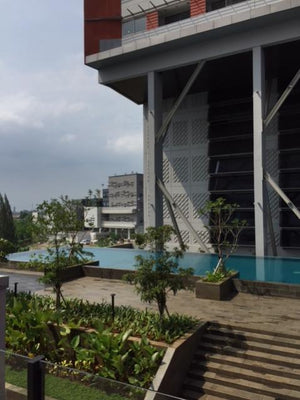 Paddington Heights